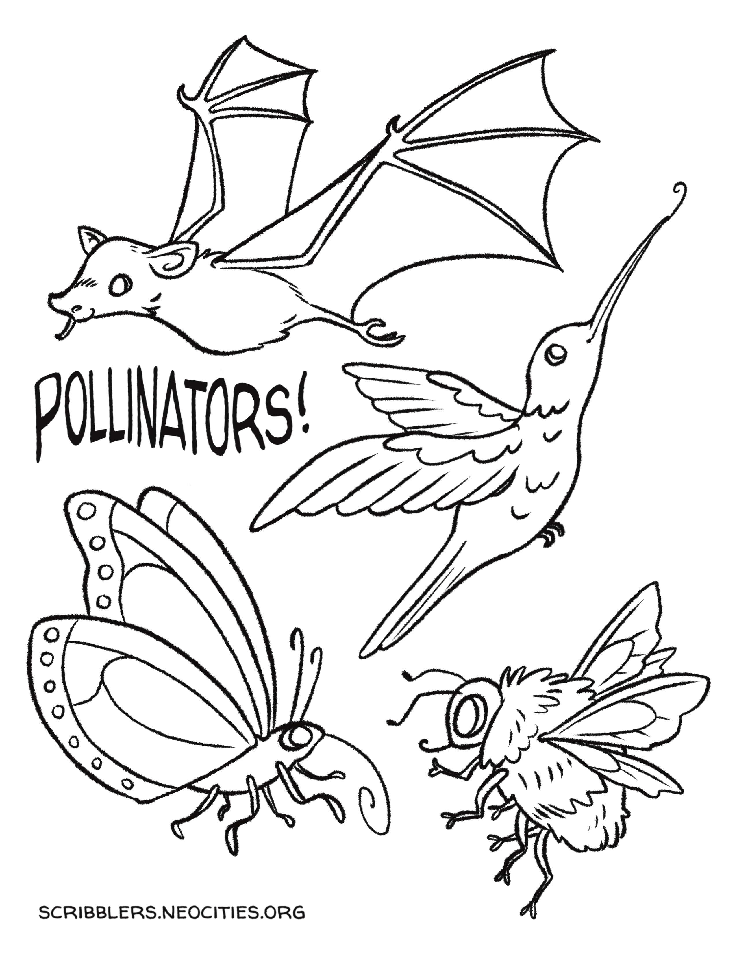 Pollinators
